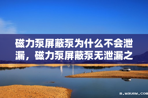 磁力泵屏蔽泵为什么不会泄漏,磁力泵屏蔽泵无泄漏之谜:独特设计与工作原理确保安全密封 磁力泵屏蔽泵为什么不会泄漏,磁力泵屏蔽泵无泄漏之谜:独特设计与工作原理确保安全密封