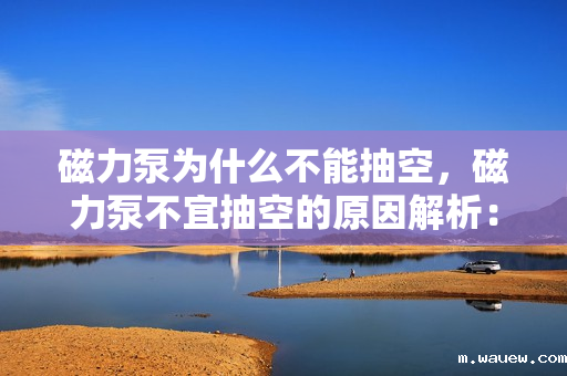 磁力泵为什么不能抽空,磁力泵不宜抽空的原因解析:工作机理与抽空风险探讨 磁力泵为什么不能抽空,磁力泵不宜抽空的原因解析:工作机理与抽空风险探讨