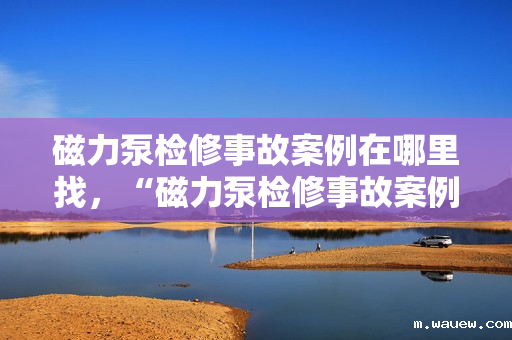 磁力泵检修事故案例在哪里找,“磁力泵检修事故案例分析及查找途径” 磁力泵检修事故案例在哪里找,“磁力泵检修事故案例分析及查找途径”