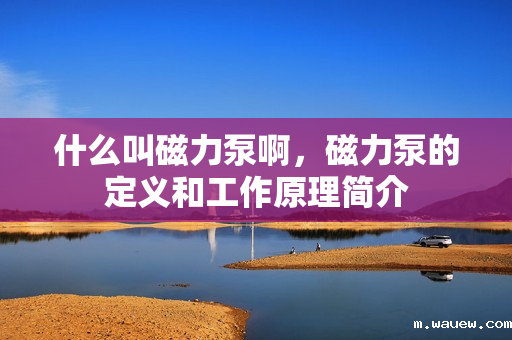 什么叫磁力泵啊,磁力泵的定义和工作原理简介 什么叫磁力泵啊,磁力泵的定义和工作原理简介