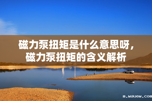 磁力泵扭矩是什么意思呀,磁力泵扭矩的含义解析 磁力泵扭矩是什么意思呀,磁力泵扭矩的含义解析