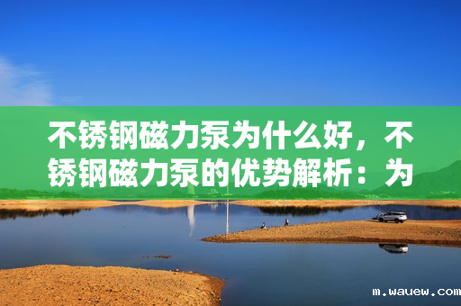 不锈钢磁力泵为什么好,不锈钢磁力泵的优势解析:为何成为优选设备 不锈钢磁力泵为什么好,不锈钢磁力泵的优势解析:为何成为优选设备