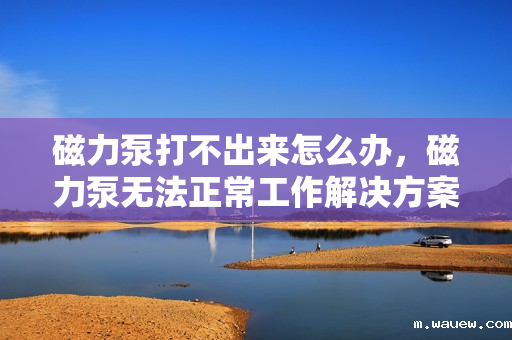 磁力泵打不出来怎么办,磁力泵无法正常工作解决方案 磁力泵打不出来怎么办,磁力泵无法正常工作解决方案