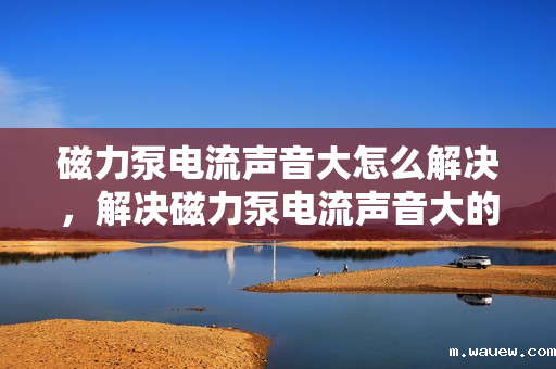 磁力泵电流声音大怎么解决,解决磁力泵电流声音大的有效方法 磁力泵电流声音大怎么解决,解决磁力泵电流声音大的有效方法
