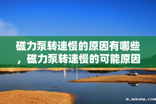 磁力泵转速慢的原因有哪些,磁力泵转速慢的可能原因解析 磁力泵转速慢的原因有哪些,磁力泵转速慢的可能原因解析