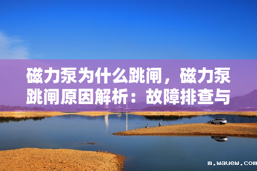 磁力泵为什么跳闸,磁力泵跳闸原因解析:故障排查与维护指南 磁力泵为什么跳闸,磁力泵跳闸原因解析:故障排查与维护指南