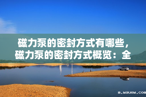 磁力泵的密封方式有哪些,磁力泵的密封方式概览:全面了解不同种类的密封方法 磁力泵的密封方式有哪些,磁力泵的密封方式概览:全面了解不同种类的密封方法