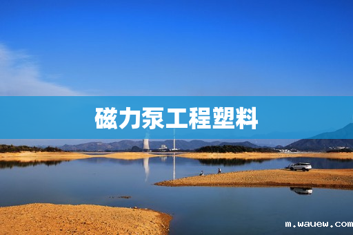 磁力泵工程塑料 磁力泵工程塑料