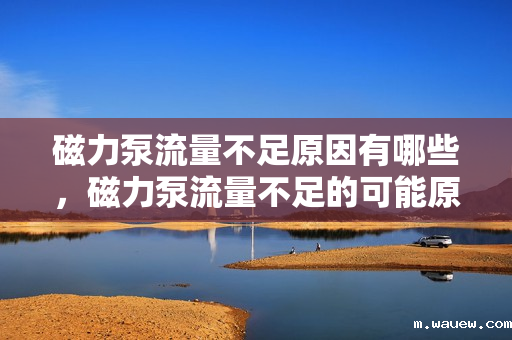 磁力泵流量不足原因有哪些,磁力泵流量不足的可能原因解析 磁力泵流量不足原因有哪些,磁力泵流量不足的可能原因解析