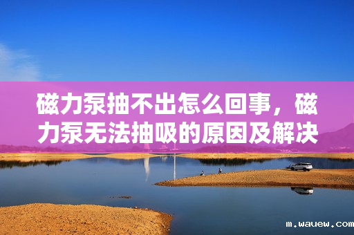 磁力泵抽不出怎么回事,磁力泵无法抽吸的原因及解决方法 磁力泵抽不出怎么回事,磁力泵无法抽吸的原因及解决方法