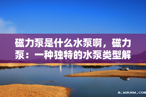 磁力泵是什么水泵啊,磁力泵:一种独特的水泵类型解析 磁力泵是什么水泵啊,磁力泵:一种独特的水泵类型解析