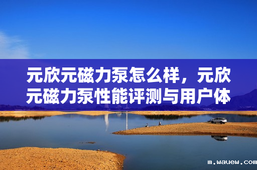 元欣元磁力泵怎么样,元欣元磁力泵性能评测与用户体验 元欣元磁力泵怎么样,元欣元磁力泵性能评测与用户体验