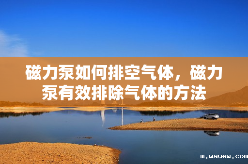 磁力泵如何排空气体,磁力泵有效排除气体的方法 磁力泵如何排空气体,磁力泵有效排除气体的方法