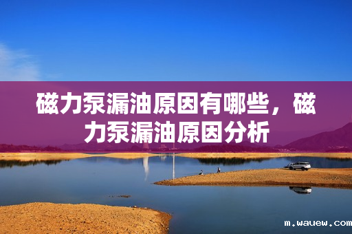 磁力泵漏油原因有哪些,磁力泵漏油原因分析 磁力泵漏油原因有哪些,磁力泵漏油原因分析
