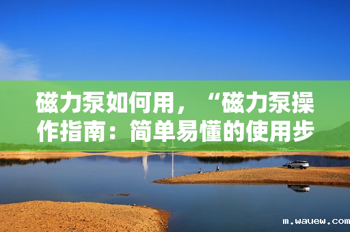 磁力泵如何用,“磁力泵操作指南:简单易懂的使用步骤” 磁力泵如何用,“磁力泵操作指南:简单易懂的使用步骤”