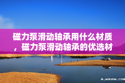 磁力泵滑动轴承用什么材质,磁力泵滑动轴承的优选材质探讨 磁力泵滑动轴承用什么材质,磁力泵滑动轴承的优选材质探讨