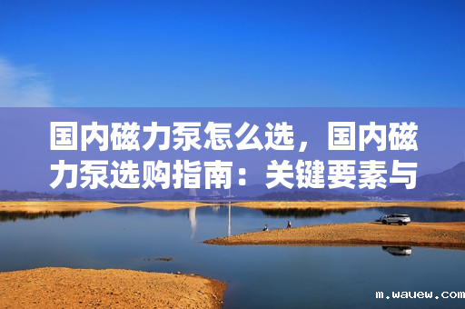 国内磁力泵怎么选,国内磁力泵选购指南:关键要素与实用建议 国内磁力泵怎么选,国内磁力泵选购指南:关键要素与实用建议