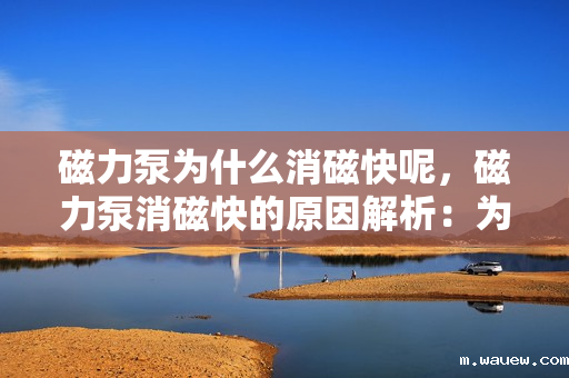 磁力泵为什么消磁快呢,磁力泵消磁快的原因解析:为何磁力迅速减退? 磁力泵为什么消磁快呢,磁力泵消磁快的原因解析:为何磁力迅速减退?