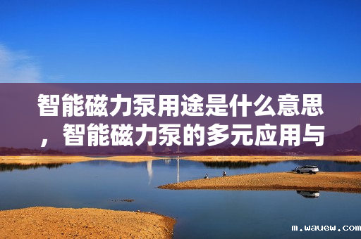 智能磁力泵用途是什么意思,智能磁力泵的多元应用与功能解析 智能磁力泵用途是什么意思,智能磁力泵的多元应用与功能解析