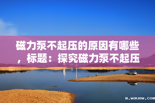 磁力泵不起压的原因有哪些,标题:探究磁力泵不起压的主要原因及解决方案 磁力泵不起压的原因有哪些,标题:探究磁力泵不起压的主要原因及解决方案