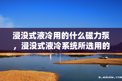 浸没式液冷用的什么磁力泵,浸没式液冷系统所选用的关键设备:磁力泵的应用与特性 浸没式液冷用的什么磁力泵,浸没式液冷系统所选用的关键设备:磁力泵的应用与特性