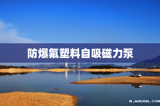 防爆氟塑料自吸磁力泵 防爆氟塑料自吸磁力泵
