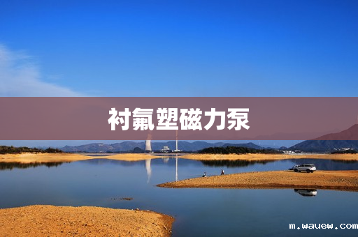 衬氟塑磁力泵 衬氟塑磁力泵