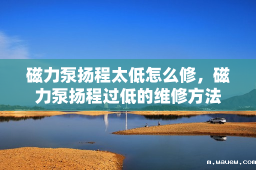 磁力泵扬程太低怎么修,磁力泵扬程过低的维修方法 磁力泵扬程太低怎么修,磁力泵扬程过低的维修方法