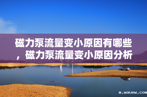 磁力泵流量变小原因有哪些,磁力泵流量变小原因分析 磁力泵流量变小原因有哪些,磁力泵流量变小原因分析