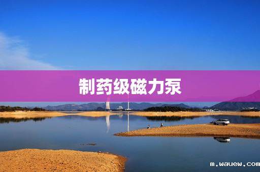 制药级磁力泵 制药级磁力泵