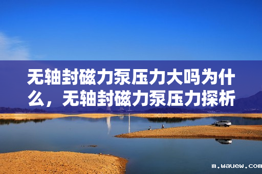 无轴封磁力泵压力大吗为什么,无轴封磁力泵压力探析:是否真的压力大及其成因 无轴封磁力泵压力大吗为什么,无轴封磁力泵压力探析:是否真的压力大及其成因