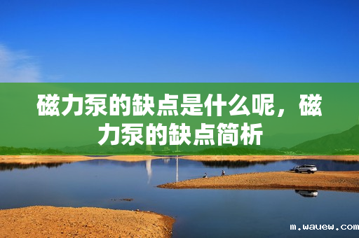 磁力泵的缺点是什么呢,磁力泵的缺点简析 磁力泵的缺点是什么呢,磁力泵的缺点简析