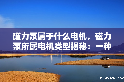 磁力泵属于什么电机,磁力泵所属电机类型揭秘:一种无需机械密封的特殊电机 磁力泵属于什么电机,磁力泵所属电机类型揭秘:一种无需机械密封的特殊电机