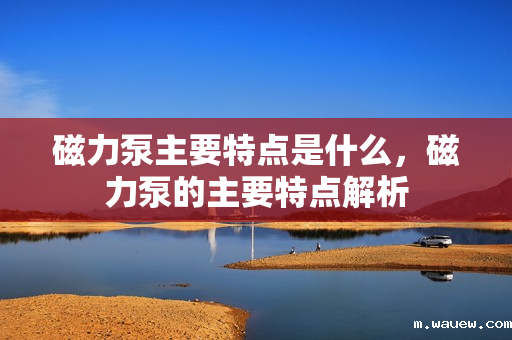 磁力泵主要特点是什么,磁力泵的主要特点解析 磁力泵主要特点是什么,磁力泵的主要特点解析