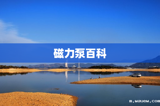 磁力泵百科 磁力泵百科