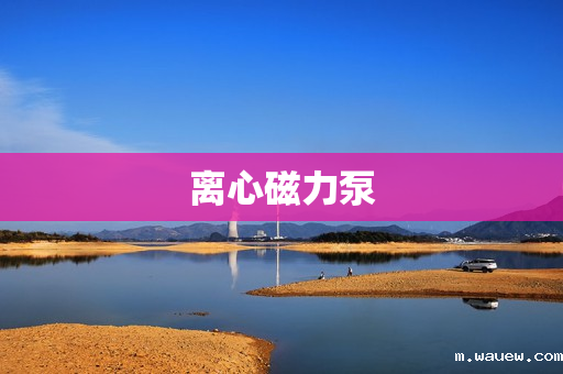 离心磁力泵 离心磁力泵