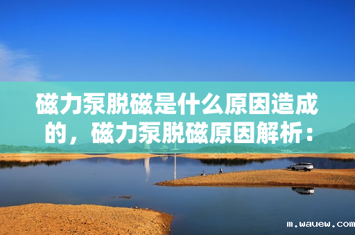 磁力泵脱磁是什么原因造成的,磁力泵脱磁原因解析:故障背后的关键因素探讨 磁力泵脱磁是什么原因造成的,磁力泵脱磁原因解析:故障背后的关键因素探讨