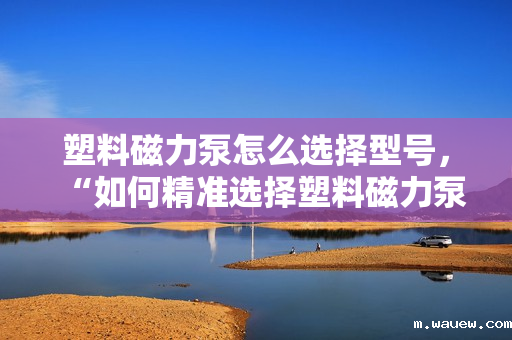 塑料磁力泵怎么选择型号,“如何精准选择塑料磁力泵型号:关键步骤与实用指南” 塑料磁力泵怎么选择型号,“如何精准选择塑料磁力泵型号:关键步骤与实用指南”