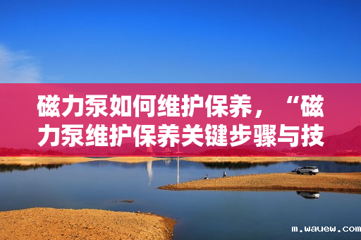 磁力泵如何维护保养,“磁力泵维护保养关键步骤与技巧” 磁力泵如何维护保养,“磁力泵维护保养关键步骤与技巧”