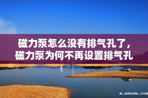 磁力泵怎么没有排气孔了,磁力泵为何不再设置排气孔?设计变革揭秘 磁力泵怎么没有排气孔了,磁力泵为何不再设置排气孔?设计变革揭秘