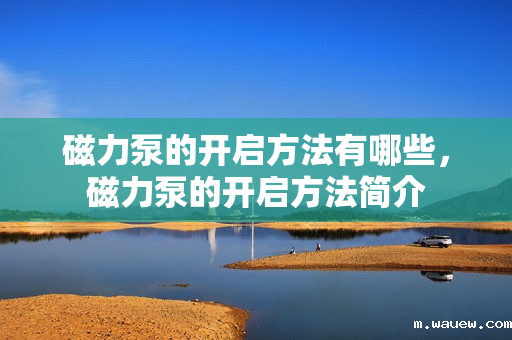 磁力泵的开启方法有哪些,磁力泵的开启方法简介 磁力泵的开启方法有哪些,磁力泵的开启方法简介