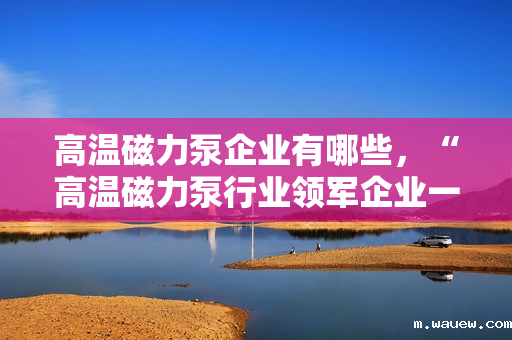 高温磁力泵企业有哪些,“高温磁力泵行业领军企业一览” 高温磁力泵企业有哪些,“高温磁力泵行业领军企业一览”