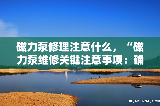磁力泵修理注意什么,“磁力泵维修关键注意事项:确保安全与性能的重要步骤” 磁力泵修理注意什么,“磁力泵维修关键注意事项:确保安全与性能的重要步骤”