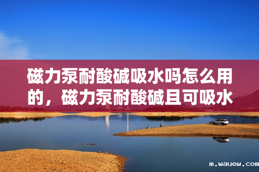 磁力泵耐酸碱吸水吗怎么用的,磁力泵耐酸碱且可吸水,操作指南详解 磁力泵耐酸碱吸水吗怎么用的,磁力泵耐酸碱且可吸水,操作指南详解