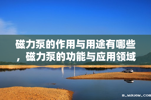 磁力泵的作用与用途有哪些,磁力泵的功能与应用领域全解析:工作原理、作用及广泛用途一览 磁力泵的作用与用途有哪些,磁力泵的功能与应用领域全解析:工作原理、作用及广泛用途一览