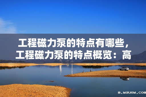 工程磁力泵的特点有哪些,工程磁力泵的特点概览:高效、无泄漏与长寿命的完美结合 工程磁力泵的特点有哪些,工程磁力泵的特点概览:高效、无泄漏与长寿命的完美结合