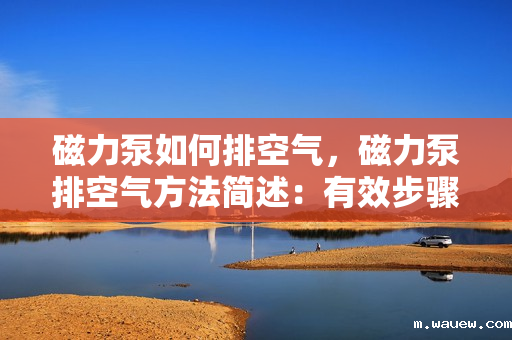 磁力泵如何排空气,磁力泵排空气方法简述:有效步骤确保流畅运行 磁力泵如何排空气,磁力泵排空气方法简述:有效步骤确保流畅运行