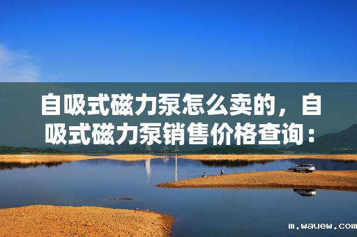 自吸式磁力泵怎么卖的,自吸式磁力泵销售价格查询:了解详情与获取报价 自吸式磁力泵怎么卖的,自吸式磁力泵销售价格查询:了解详情与获取报价