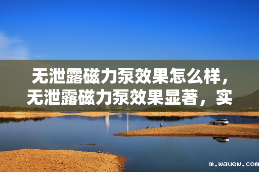 无泄露磁力泵效果怎么样,无泄露磁力泵效果显著,实现高效无泄漏传输 无泄露磁力泵效果怎么样,无泄露磁力泵效果显著,实现高效无泄漏传输