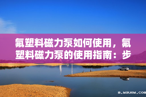氟塑料磁力泵如何使用,氟塑料磁力泵的使用指南:步骤与注意事项一览 氟塑料磁力泵如何使用,氟塑料磁力泵的使用指南:步骤与注意事项一览